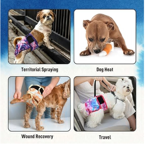 Couches chauffantes réutilisables pour chiens pour femmes avec boutons-pression réglables <span class=keywords><strong>Couche</strong></span> <span class=keywords><strong>lavable</strong></span> pour animaux de compagnie pour les périodes de chien - Product Image 3