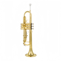 OEM High Quality Brass Material Gold Lacquer Surface 3 Piston Professional BB Key Trumpet for Beginner Durable Wind Instrument