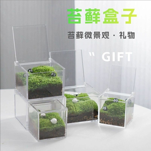 Moss Micro-Landscape Indoor Desktop Potted Plants Fresh <b>Small</b> Green Plant Ornaments Office Gifts Mini Moss Eco-Bottle - Product Image 2