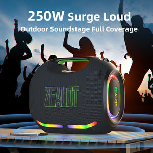 Zealot ZE21M avec double microphone, LED RGB, en plastique, sortie 250W, prend en charge la carte mémoire, la batterie TF pour le home cinéma et l'utilisation en extérieur - Product Image 4