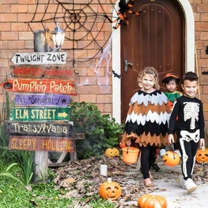 Décorations de jardin directionnelles effrayantes pour Halloween avec toiles d'araignées en PP, découpées sur mesure pour les fêtes d'Halloween - Product Image 2