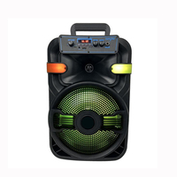 Subwoofers 10'' sans fil avec microphone, 20W, LED RGB, Bluetooth 5.0, micro intégré, télécommande, utilisation extérieure, système audio portable, batterie, application