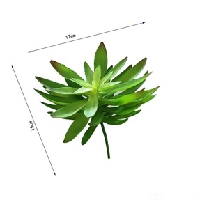 ต้นกระบองเพชรกระถางบอนไซจำลองขนาดใหญ่ปลูกพืชอวบน้ำ - Product Image 5