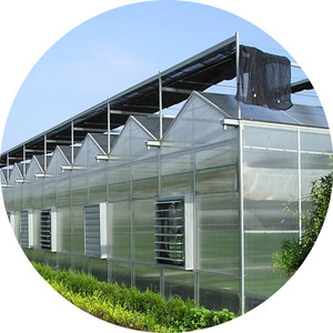 Gran equipo completo de <span class=keywords><strong>invernadero</strong></span> agrícola, proyecto llave en mano rápido con construcción rápida, <span class=keywords><strong>invernadero</strong></span> de vidrio verde - Product Image 6