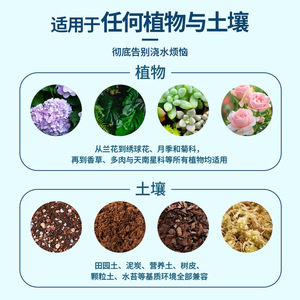 Humidimètre pour plantes d'intérieur et d'extérieur, outil d'arrosage automatique, aucune batterie requise - Product Image 4