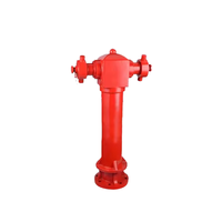 BS14384 EN accessoire extérieur de bouche d'incendie de pilier humide britannique à 2 voies en fonte pour équipement de lutte contre les incendies
