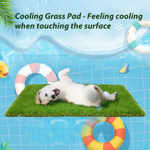 25mm PET Friendly Outdoor Artificial Turf PE Roll Indoor Sports Flooring <strong>Putting</strong> Green <strong>Door</strong> Mat Dog Landscape Carpet for Sports - Product Image 3