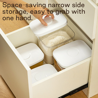 Boîte de rangement alimentaire personnalisée ANYA, boîtes de rangement pour céréales portables, distributeur de farine et de riz en plastique hermétique, rangement de cuisine