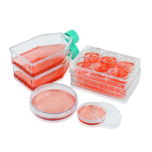 IKEME 실험실 플라스틱 멸균 12.5CM2 조직 배양 플라스크 실험실 용품 필터 캡 조직 세포 배양 플라스크 필터 캡 포함 - Product Image 1