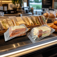 Fabrikant Groothandel Wegwerp Transparante PET Driehoekige Sandwich Afhaalverpakking Clamshell Verpakking