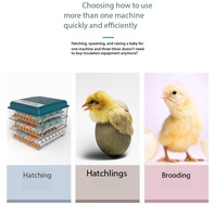 Incubateur automatique pour volailles de 36 à 64 œufs avec plateau à rouleaux réglable et double alimentation pour poulets et cailles à usage domestique