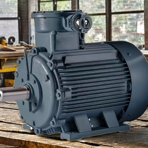 มอเตอร์อะซิงโครนัสสามเฟสราคาแข่งขัน พร้อมรุ่นสั่งทำพิเศษ YBX3-355L2-8-200KW - Product Image 4