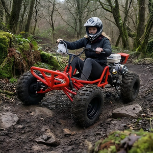 Go <span class=keywords><strong>Kart</strong></span> <span class=keywords><strong>de</strong></span> Pedales <span class=keywords><strong>de</strong></span> 212 CC y 4 Tiempos, Todoterreno, a Gasolina, para Adultos y Niños, 60 km/h, CVT, Ruedas <span class=keywords><strong>de</strong></span> 10 Pulgadas - Product Image 6