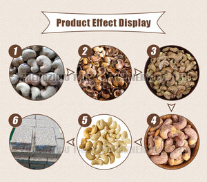 Nhà máy chế biến điều tự động hoàn toàn, máy bóc vỏ điều thô tự động - Product Image 3