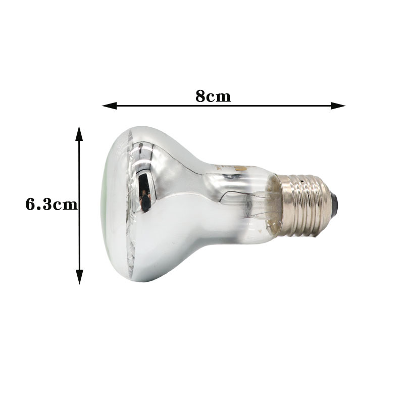 Spot R63 220v 25w
