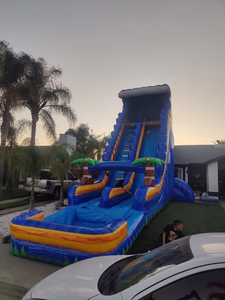 背の高い巨大なダブルレーン商業用インフレータブルウォータースライド（裏庭、屋外、子供の夏のパーティー用） - Product Image 1
