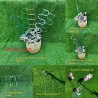 Support de treillis de support de plante en acrylique transparent horticole moderne pour Phalaenopsis et tige d'escalade de plantes en pot