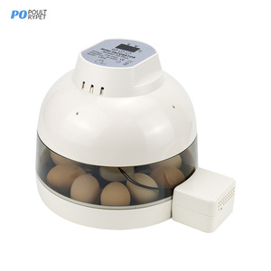 Mercado de Australia 100% tasa de natalidad hobby incubadoras de <span class=keywords><strong>huevos</strong></span> para incubar para gallina de <span class=keywords><strong>Guinea</strong></span> - Product Image 3