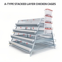 Cage à poules pondeuses de type 4, 160 poules, pour grande ferme avicole