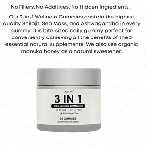 3 in 1 Wellness Gummies <strong>Honey</strong> Flavor Himalayan Shilajit Resin Gummy Supplement Boost Energy 3 in 1 Health 30 Gummies - Product Image 4