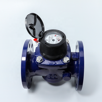 Compteur d'eau de classe C IP68 R160 / R250 de type sec en vrac de turbine de NWM Woltman avec le corps de fonte/sortie d'impulsion de Reed en option