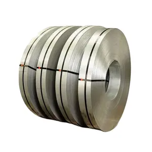 Cold Rolled/Hot Rolled 304 Stainless Steel Strip