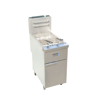 Friteuse professionnelle en acier inoxydable au propane/gaz naturel, type ouvert, sur pied, capacité 18-25L, 100 000 BTU
