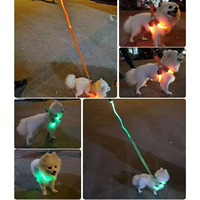 Harness Anjing Solid Bercahaya untuk Keamanan Berjalan di Malam Hari, Menyala dalam Gelap, Bahan Mesh Lembut, Dapat Diisi Ulang via USB