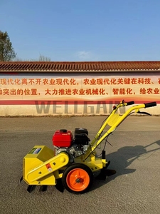 <span class=keywords><strong>Motozappa</strong></span> Compatta Multifunzione a Benzina per Diserbo, Dissodamento, Scavo e Aratura in Agricoltura Domestica - Product Image 3