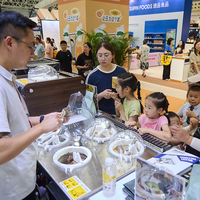 Mesin Es Krim Miles Ice Cream Machine Commerical 4 Silinder, Hemat Biaya, Membuat, Menyimpan, dan Menampilkan Gelato, Semua dalam Satu