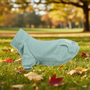 Sweat-shirt Littleton XXS 18cm Menthe Vêtements pour animaux de compagnie - Product Image 3