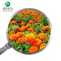 Poudre d'extrait de fleur de CALENDULA lutéine et de zéaxanthine