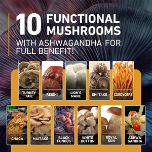 Rosebest Ingrosso OEM Integratore in Gommose Biologico Vegano, Complesso di Funghi 10 in 1 con Criniera di Leone e Ashwagandha, Adattogeno Nootropico - Product Image 2