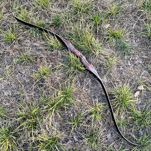 Ensemble de tir à l'<span class=keywords><strong>arc</strong></span> <span class=keywords><strong>classique</strong></span> traditionnel en bois <span class=keywords><strong>arc</strong></span> et flèche jeux de plein air <span class=keywords><strong>pour</strong></span> accessoires de tir équipement de chasse - Product Image 6
