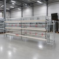 Nouveau système de cages à poules pondeuses de type H, cage à poulets automatique à 4 niveaux en acier galvanisé, alimentation automatique, collecte des œufs, élimination du fumier