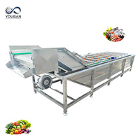 Commerciële bubbelwasmachine met recirculerend water voor het reinigen van fruit, groenten, maïs, noten en het ontdooien van diepvriesproducten