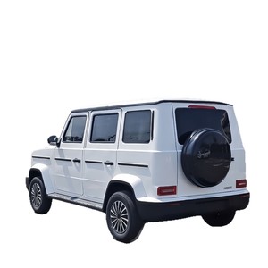 Vendedor de China: Mini Auto Eléctrico, Mini G Wagon, Auto Eléctrico para Adultos - Product Image 5