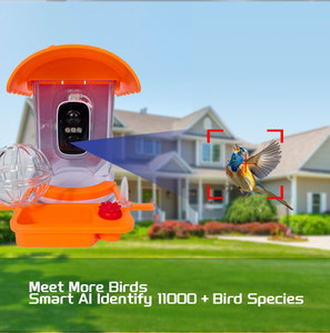 Comedero Inteligente para Colibríes <span class=keywords><strong>con</strong></span> Cámara 3MP HD, Identificación por IA, WiFi Inalámbrico, Alimentador <span class=keywords><strong>de</strong></span> Aves para Exteriores <span class=keywords><strong>con</strong></span> Energía Solar para Jardín - Product Image 6