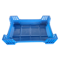 Taille personnalisée 600x400x145mm PP noir soldat mouche vers de farine empilable en plastique cage d'élevage d'insectes boîtes d'élevage plateaux pour BSF