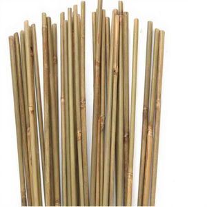Estacas de Bambú de Alta Calidad Eco2go Vietnam, las Mejores Cañas de Bambú Naturales y Resistentes para Construcción, Exportación - Product Image 1
