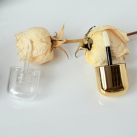 Tube de brillant à lèvres personnalisé OEM, ensemble unique vide de conteneurs pour crayon et brillant à lèvres avec grande brosse, emballage cosmétique