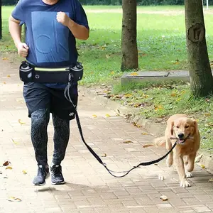 걷는 조깅 손 무료 개 실행 허리 탄성 벨트 가방 개 가죽 끈