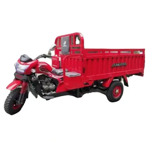 Hot Selling Powerful Engine 250cc tricycle truck 3-wheel Cargo Electric Motorcycle Three Wheel for Adult