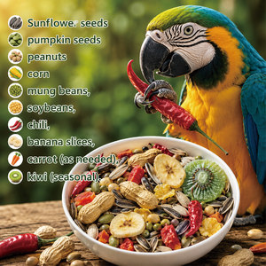 WIMOW Formule pour <span class=keywords><strong>oiseaux</strong></span> Friandises pour animaux Graines de tournesol Cacahuètes Vitamines 2kg 10kg Grison africain Cockatiel Ara Vente en gros OEM ODM - Product Image 2