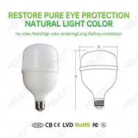 Ampoule LED B22 6000K 40W 3500LM Haute Luminosité pour Usage Résidentiel