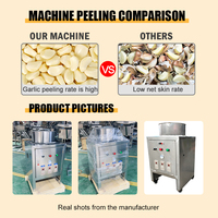 Machine à peler l'ail automatique pour usage commercial, rendement de 30 kg par heure, éplucheur en acier inoxydable pour restaurant