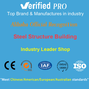 Atelier in Struttura Metallica, Fabbrica Prefabbricata, Costruzione Industriale - Product Image 2