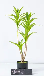 Artificial Plant Trees Interior Decoration Plants Bamboo Are Used For Outdoor Interior Decoration
