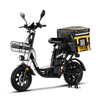 Bicicleta Eléctrica de Carga Antideslizante, Superventas en Rusia, Recargable, para Reparto, Bici Eléctrica Híbrida