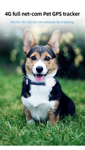 MINI GPS 추적 장치 개 고양이 활동 추적 웹 모니터링 서비스로 애완 동물 APP - Product Image 3